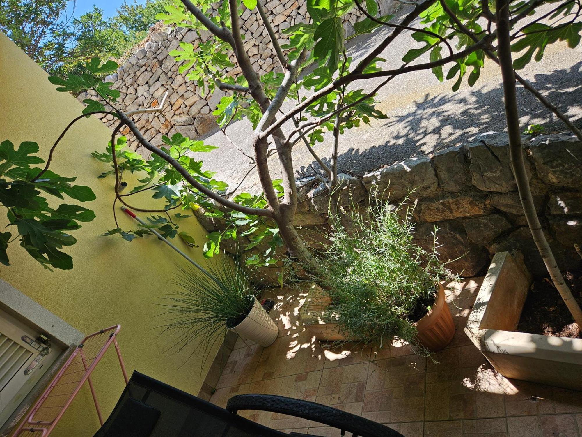 Apartmani Sanja เคลโนวีซา ภายนอก รูปภาพ